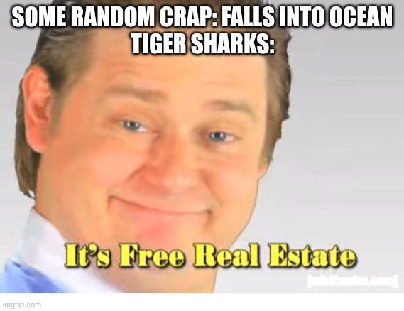 They just eat it, no matter what it is lol | SOME RANDOM CRAP: FALLS INTO OCEAN
TIGER SHARKS: | image tagged in it's free real estate,shark | made w/ Imgflip meme maker