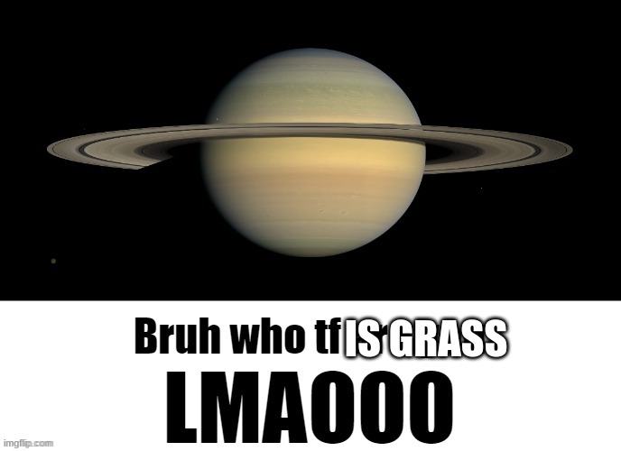 Bruh who tf are you LMAOOO | IS GRASS | image tagged in bruh who tf are you lmaooo | made w/ Imgflip meme maker