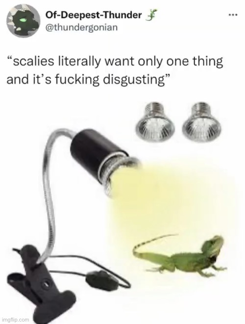 (mod note: i completely agree with this. Also, please make sure to put tags and a title on your posts) | image tagged in scalie | made w/ Imgflip meme maker