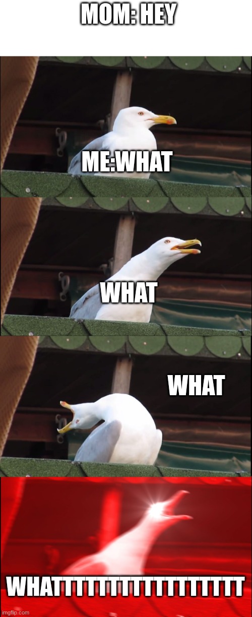 WHAAT | MOM: HEY; ME:WHAT; WHAT; WHAT; WHATTTTTTTTTTTTTTTTT | image tagged in memes,inhaling seagull | made w/ Imgflip meme maker