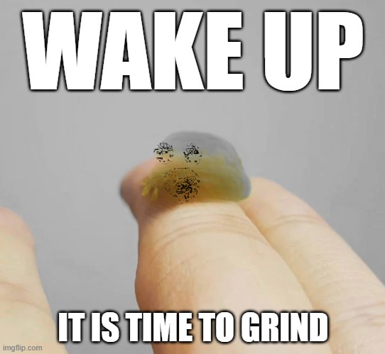 grind | WAKE UP; IT IS TIME TO GRIND | image tagged in grind,rise and grind | made w/ Imgflip meme maker