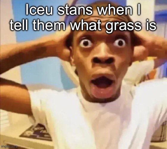 in shock | Iceu stans when I tell them what grass is | image tagged in in shock | made w/ Imgflip meme maker