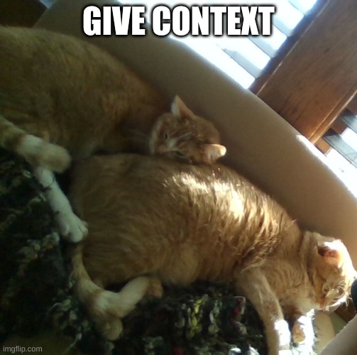 2 of my cats | GIVE CONTEXT | image tagged in 2 of my cats | made w/ Imgflip meme maker