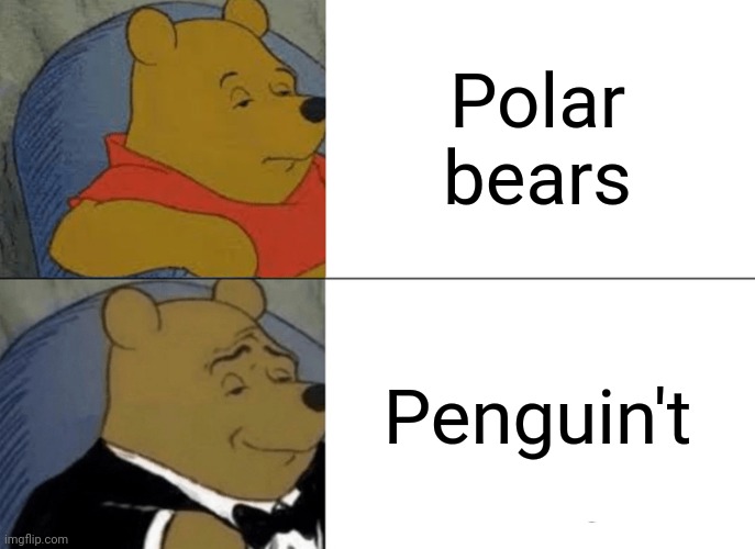 Tuxedo Winnie The Pooh | Polar bears; Penguin't | image tagged in memes,bears,frost | made w/ Imgflip meme maker