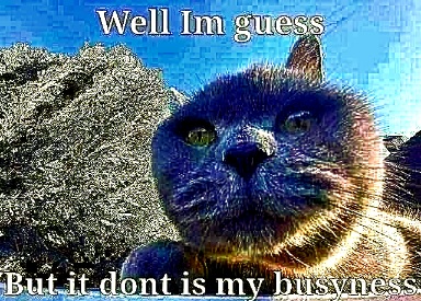 High Quality dont my busyness Blank Meme Template