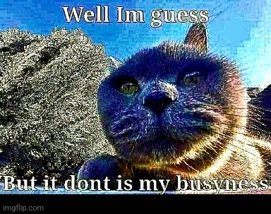 New template :D | image tagged in dont my busyness | made w/ Imgflip meme maker