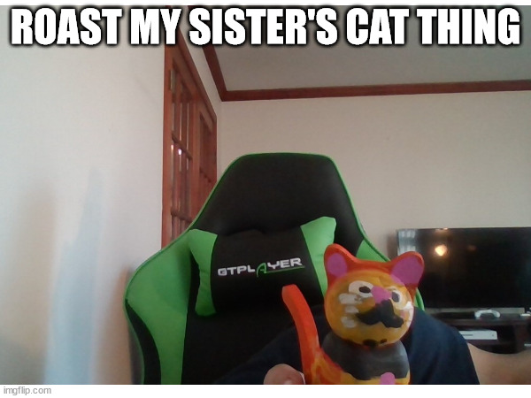 ROAST MY SISTER'S CAT THING | made w/ Imgflip meme maker