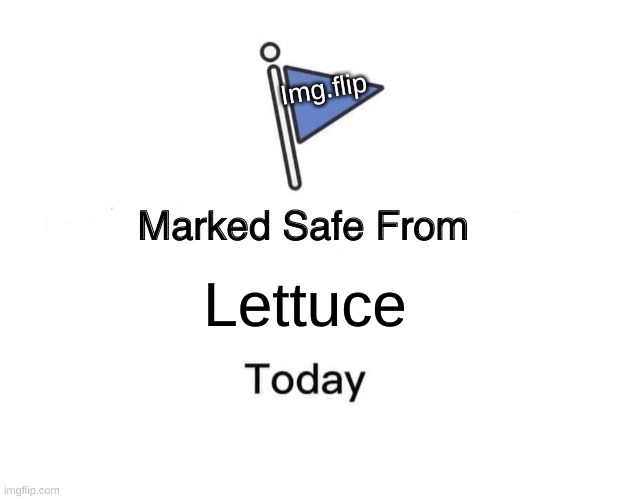 No more | Img.flip; Lettuce | image tagged in memes,marked safe from | made w/ Imgflip meme maker