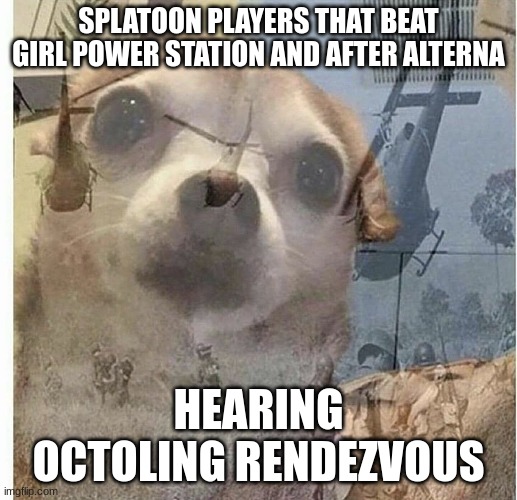 I T S T H E M ! | SPLATOON PLAYERS THAT BEAT GIRL POWER STATION AND AFTER ALTERNA; HEARING OCTOLING RENDEZVOUS | image tagged in ptsd chihuahua | made w/ Imgflip meme maker