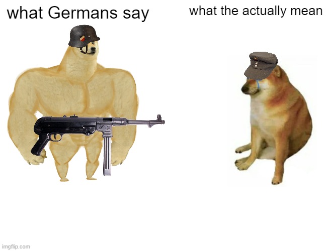 Germans be like: | what Germans say; what the actually mean | image tagged in memes,buff doge vs cheems | made w/ Imgflip meme maker