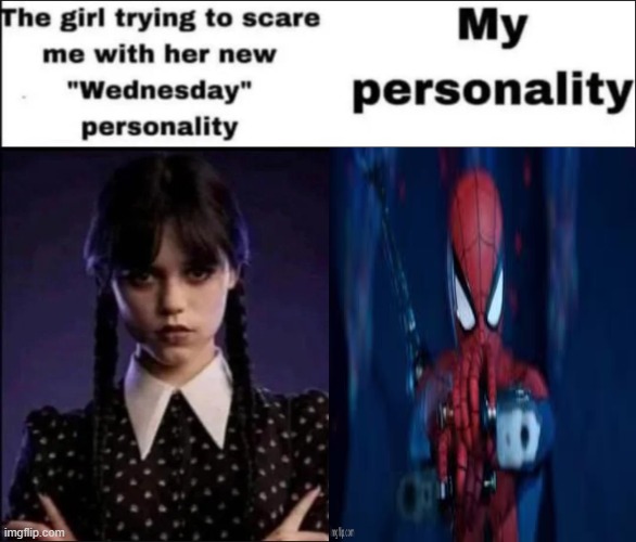 The girl trying to scare me with her new Wednesday personality | image tagged in the girl trying to scare me with her new wednesday personality | made w/ Imgflip meme maker