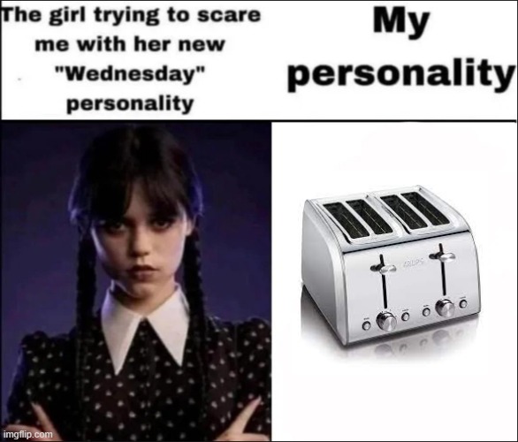 The girl trying to scare me with her new Wednesday personality | image tagged in the girl trying to scare me with her new wednesday personality | made w/ Imgflip meme maker