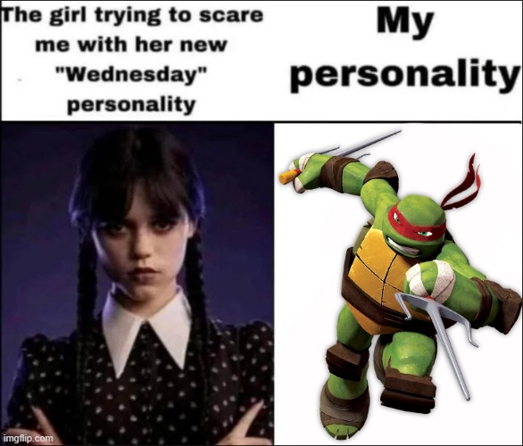 I'm just a ninja turtle | image tagged in the girl trying to scare me with her new wednesday personality,tmnt | made w/ Imgflip meme maker