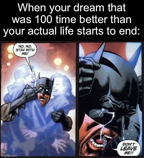 Sad :( I hope it doesn’t end until I’m late | When your dream that was 100 time better than your actual life starts to end: | image tagged in batman don't leave me | made w/ Imgflip meme maker