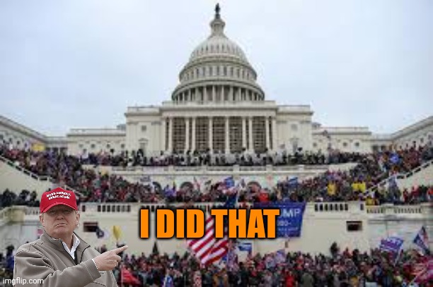 Capitol on January 6 | I DID THAT | image tagged in capitol on january 6 | made w/ Imgflip meme maker