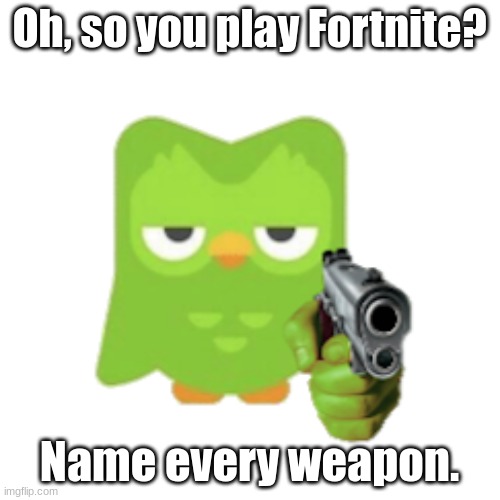 Oh, So You Know Fortnite? | Oh, so you play Fortnite? Name every weapon. | image tagged in duolingo | made w/ Imgflip meme maker