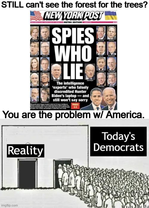 There is Only ONE Truth! Quit Making It Up as You Go, Democrats! | STILL can't see the forest for the trees? You are the problem w/ America. | image tagged in politics,the truth,alternate reality,democrats,alter facts,spies | made w/ Imgflip meme maker