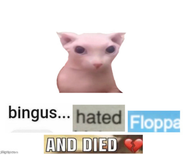 shitpost | made w/ Imgflip meme maker