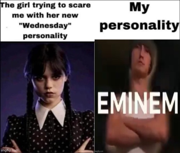 The girl trying to scare me with her new Wednesday personality | image tagged in the girl trying to scare me with her new wednesday personality | made w/ Imgflip meme maker
