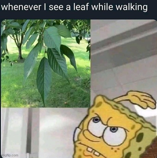 s l a p that boi | made w/ Imgflip meme maker