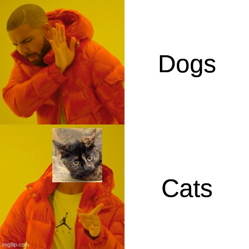 Long live the cats | Dogs; Cats | image tagged in memes,drake hotline bling | made w/ Imgflip meme maker