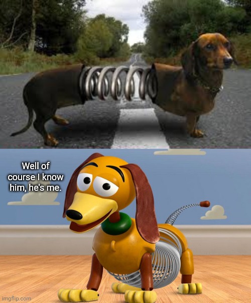 Top one: Dog Slinky photoshop | Well of course I know him, he's me. | image tagged in memes,dogs,dog,slinky,slinky dog,photoshop | made w/ Imgflip meme maker