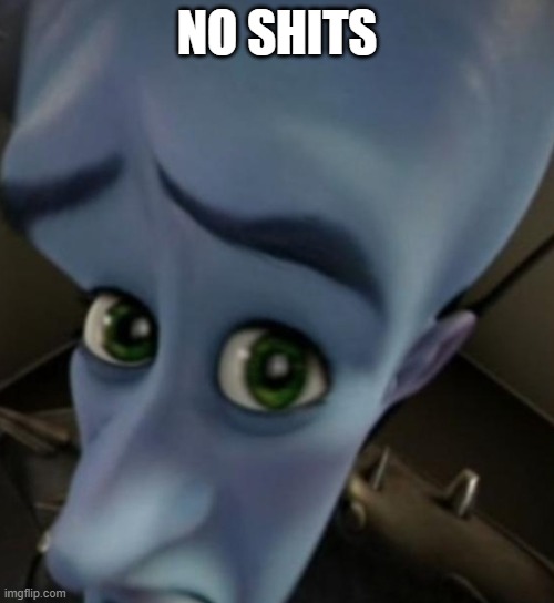 NO SHITS? | NO SHITS | image tagged in megamind no bitches | made w/ Imgflip meme maker