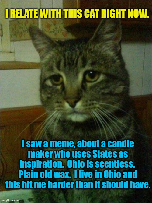So I actually live in Ohio... | I RELATE WITH THIS CAT RIGHT NOW. I saw a meme, about a candle maker who uses States as inspiration.  Ohio is scentless.  Plain old wax.  I live in Ohio and this hit me harder than it should have. | image tagged in memes,depressed cat,ohio | made w/ Imgflip meme maker