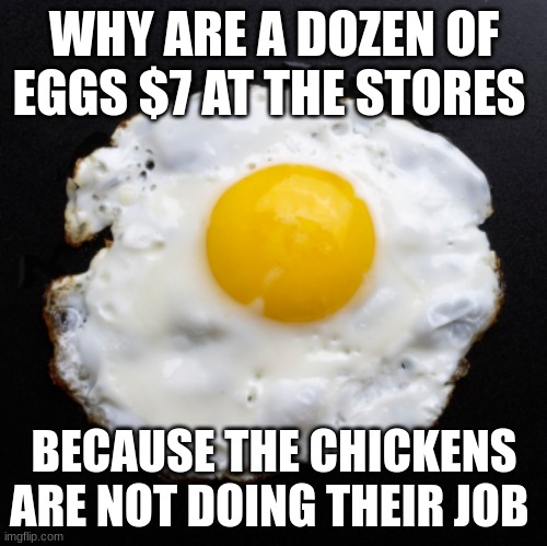 This is why folks | WHY ARE A DOZEN OF EGGS $7 AT THE STORES; BECAUSE THE CHICKENS ARE NOT DOING THEIR JOB | image tagged in eggs,price | made w/ Imgflip meme maker