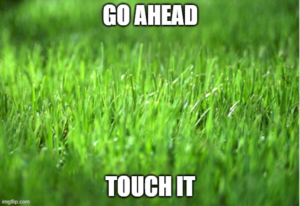 Go Ahead Touch It | GO AHEAD; TOUCH IT | made w/ Imgflip meme maker