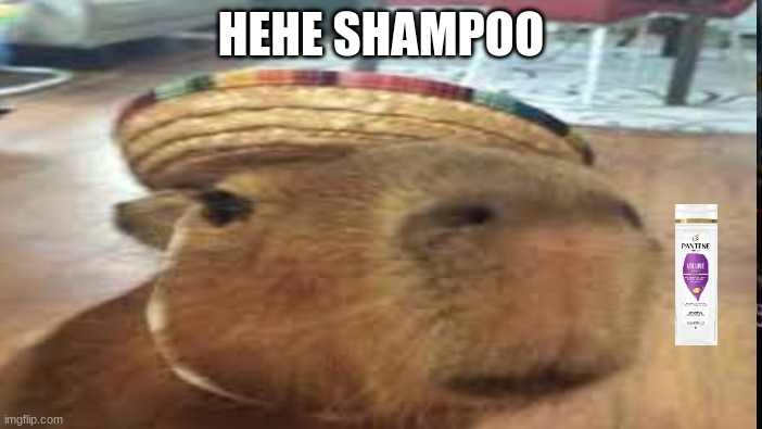 Crazy | HEHE SHAMPOO | image tagged in funny | made w/ Imgflip meme maker