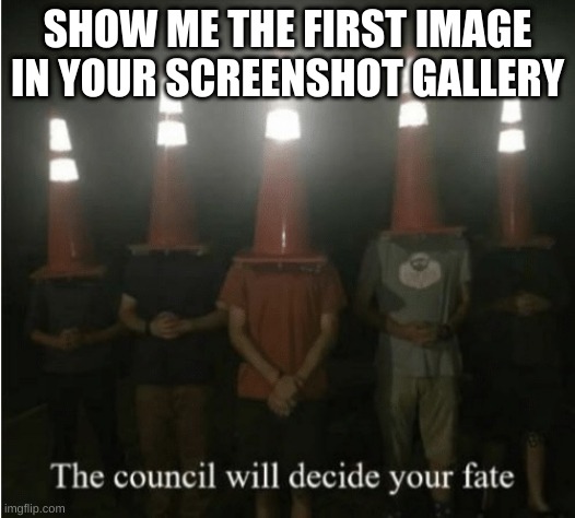 horny? | SHOW ME THE FIRST IMAGE IN YOUR SCREENSHOT GALLERY | image tagged in the council will decide your fate | made w/ Imgflip meme maker