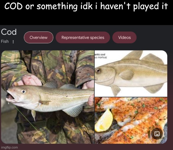 COD or something idk i haven't played it | made w/ Imgflip meme maker