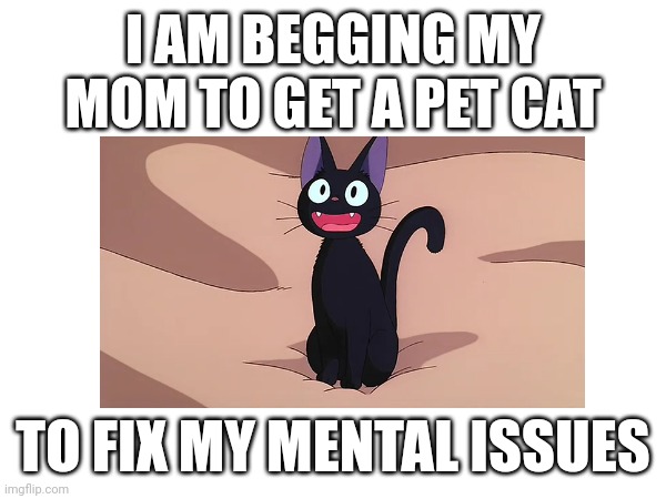 Cat | I AM BEGGING MY MOM TO GET A PET CAT; TO FIX MY MENTAL ISSUES | image tagged in memes | made w/ Imgflip meme maker