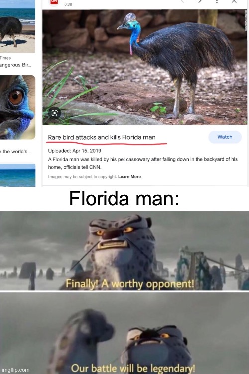 The only one who defeated Florida man |  Florida man: | image tagged in florida man,florida,birds,bird,finally a worthy opponent | made w/ Imgflip meme maker