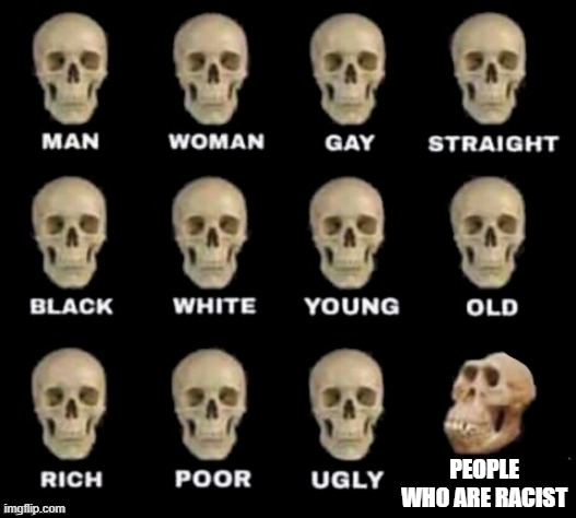 E | PEOPLE WHO ARE RACIST | image tagged in idiot skull | made w/ Imgflip meme maker