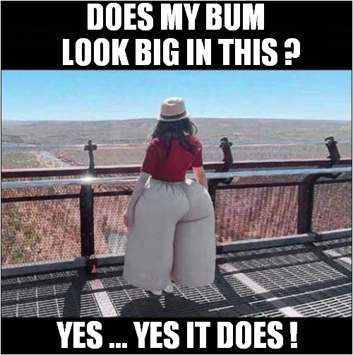 Shouldn't Have Asked ! | DOES MY BUM
  LOOK BIG IN THIS ? YES ... YES IT DOES ! | image tagged in big,bum,butt,don't ask | made w/ Imgflip meme maker