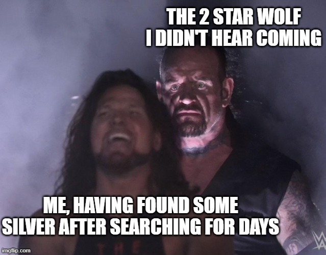Valheim Silver Troubles | THE 2 STAR WOLF I DIDN'T HEAR COMING; ME, HAVING FOUND SOME SILVER AFTER SEARCHING FOR DAYS | image tagged in undertaker,valheim,gaming | made w/ Imgflip meme maker