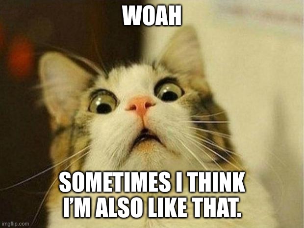 Scared Cat Meme | WOAH SOMETIMES I THINK I’M ALSO LIKE THAT. | image tagged in memes,scared cat | made w/ Imgflip meme maker