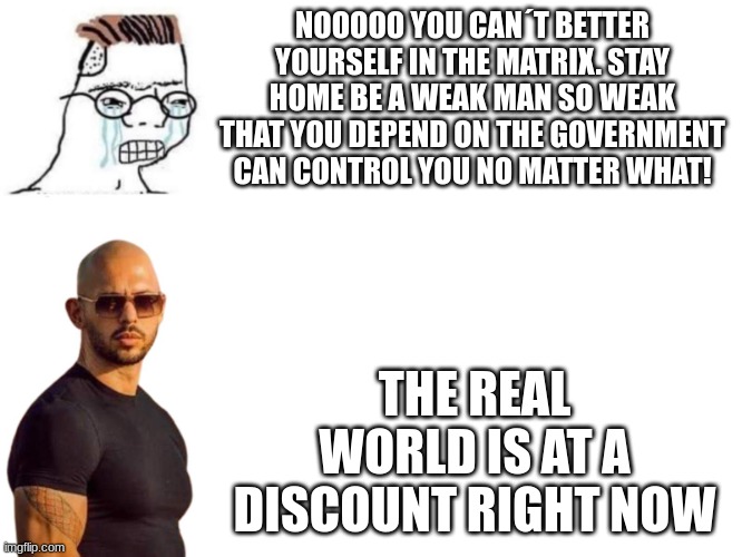 top gee | NOOOOO YOU CAN´T BETTER YOURSELF IN THE MATRIX. STAY HOME BE A WEAK MAN SO WEAK THAT YOU DEPEND ON THE GOVERNMENT CAN CONTROL YOU NO MATTER WHAT! THE REAL WORLD IS AT A DISCOUNT RIGHT NOW | image tagged in normie vs andrew tate top g | made w/ Imgflip meme maker