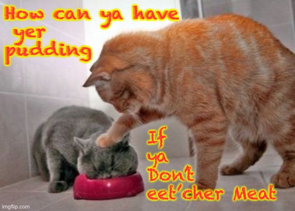 Pink | How can ya have
 yer
pudding; If
ya
Don’t
eet’cher Meat | image tagged in force feed cat | made w/ Imgflip meme maker