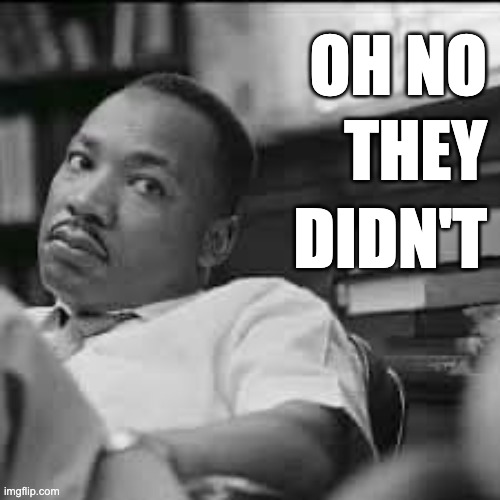 Oh No They Didn't | OH NO; THEY; DIDN'T | image tagged in mlk,bitch please,oh no they didn't | made w/ Imgflip meme maker