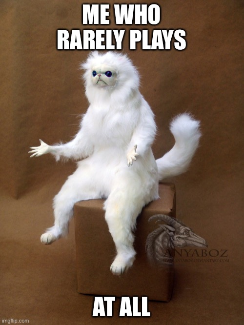 Persian Cat Room Guardian Single Meme | ME WHO RARELY PLAYS AT ALL | image tagged in memes,persian cat room guardian single | made w/ Imgflip meme maker