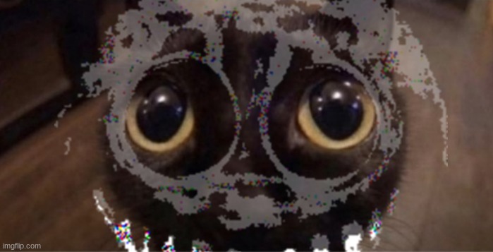 ... | made w/ Imgflip meme maker