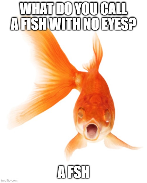 WHAT DO YOU CALL A FISH WITH NO EYES? A FSH | made w/ Imgflip meme maker