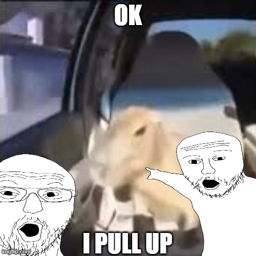 Ok he pullup | OK; I PULL UP | image tagged in capybara,memes | made w/ Imgflip meme maker