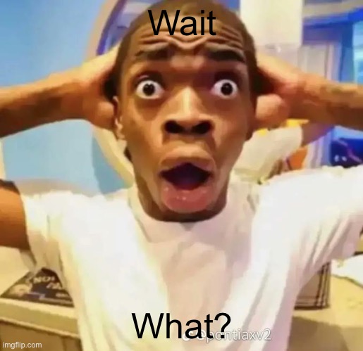 Shocked black guy | Wait What? | image tagged in shocked black guy | made w/ Imgflip meme maker