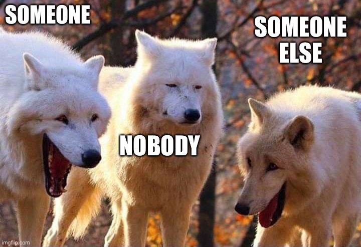 Laughing wolf | SOMEONE NOBODY SOMEONE ELSE | image tagged in laughing wolf | made w/ Imgflip meme maker