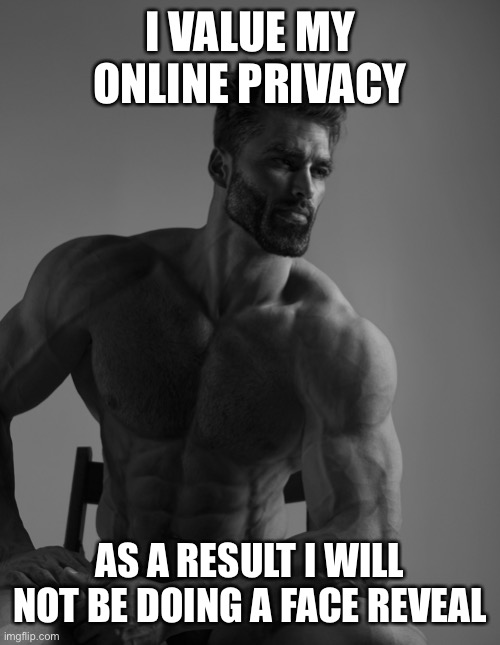 Giga Chad | I VALUE MY ONLINE PRIVACY; AS A RESULT I WILL NOT BE DOING A FACE REVEAL | image tagged in giga chad | made w/ Imgflip meme maker