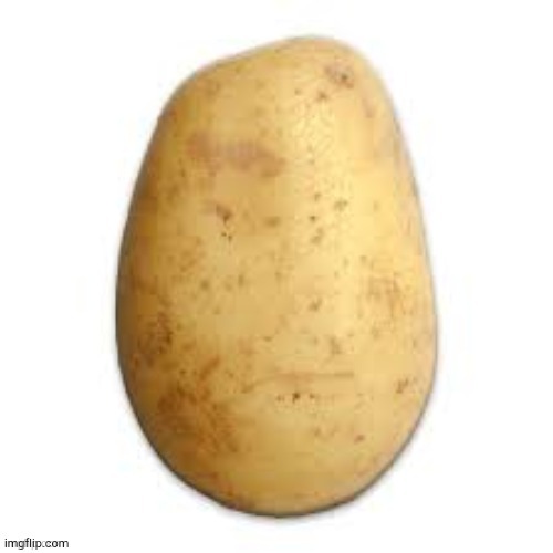 Potato | image tagged in potato | made w/ Imgflip meme maker